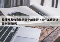 軟件開發(fā)和物聯(lián)網哪個前景好（軟件工程好還是物聯(lián)網好）