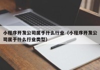 小程序開(kāi)發(fā)公司屬于什么行業(yè)（小程序開(kāi)發(fā)公司屬于什么行業(yè)類型）