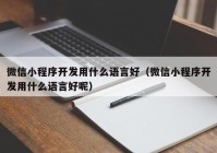 微信小程序開(kāi)發(fā)用什么語(yǔ)言好（微信小程序開(kāi)發(fā)用什么語(yǔ)言好呢）
