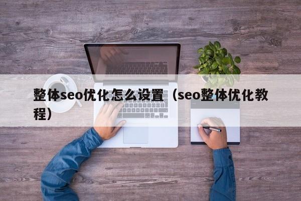 整體seo優(yōu)化怎么設(shè)置(seo整體優(yōu)化教程)
