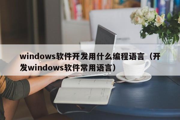 windows軟件開發(fā)用什么編程語言(開發(fā)windows軟件常用語言)