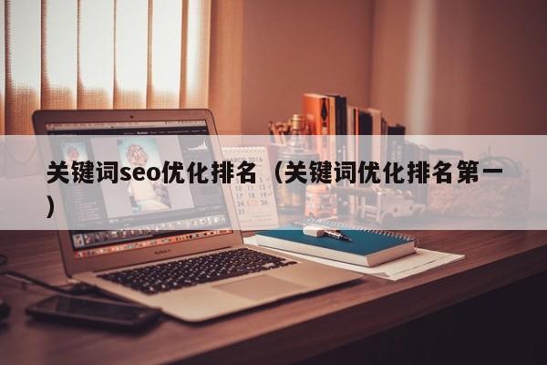 關(guān)鍵詞seo優(yōu)化排名(關(guān)鍵詞優(yōu)化排名第一)
